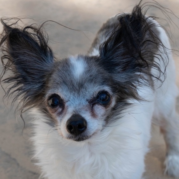 Meet your Posher, Ashlyn - Picture 2 of 3